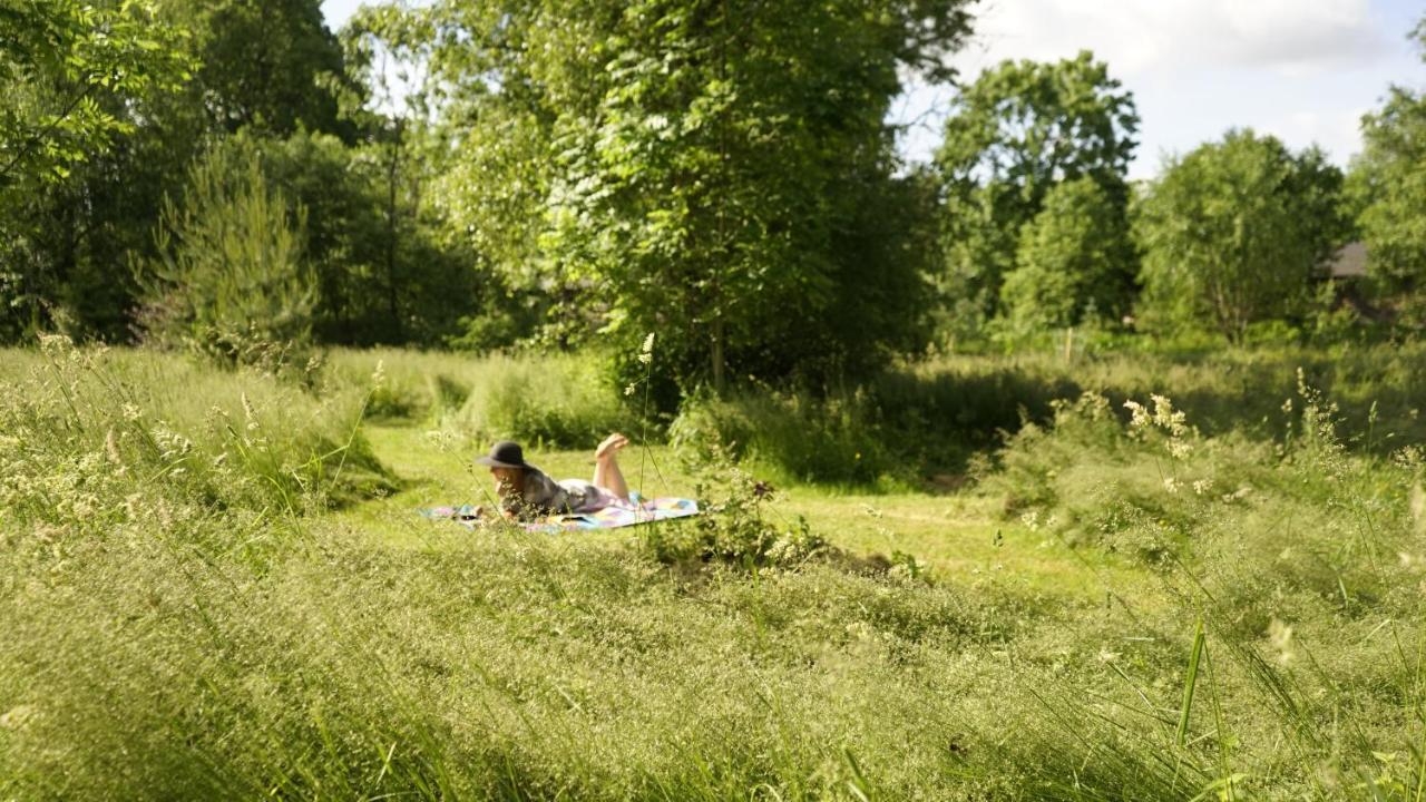 Uneallika Puhkemaja-Kuelalistemaja Pae Zewnętrze zdjęcie